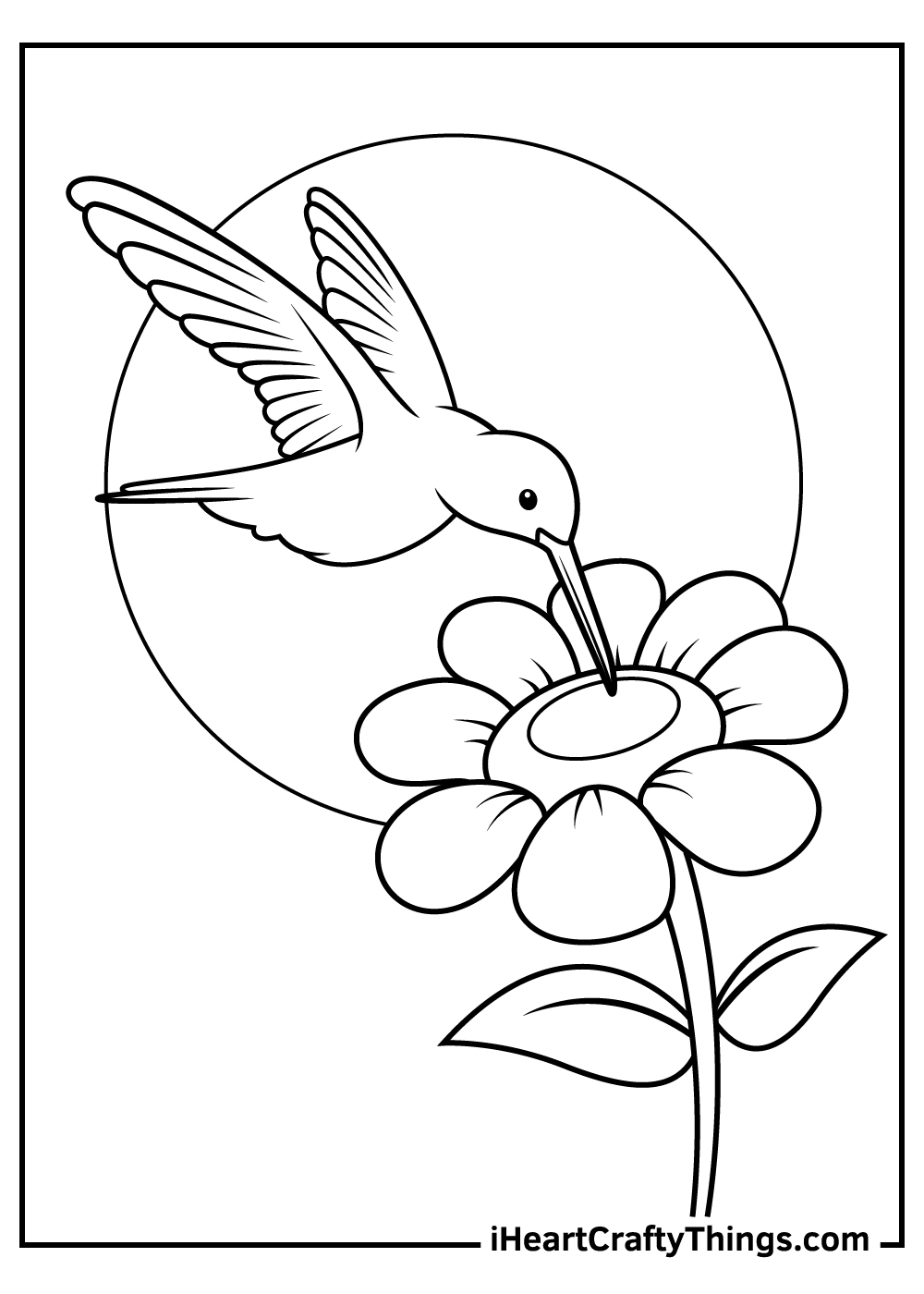 Printable Hummingbird Coloring Pages