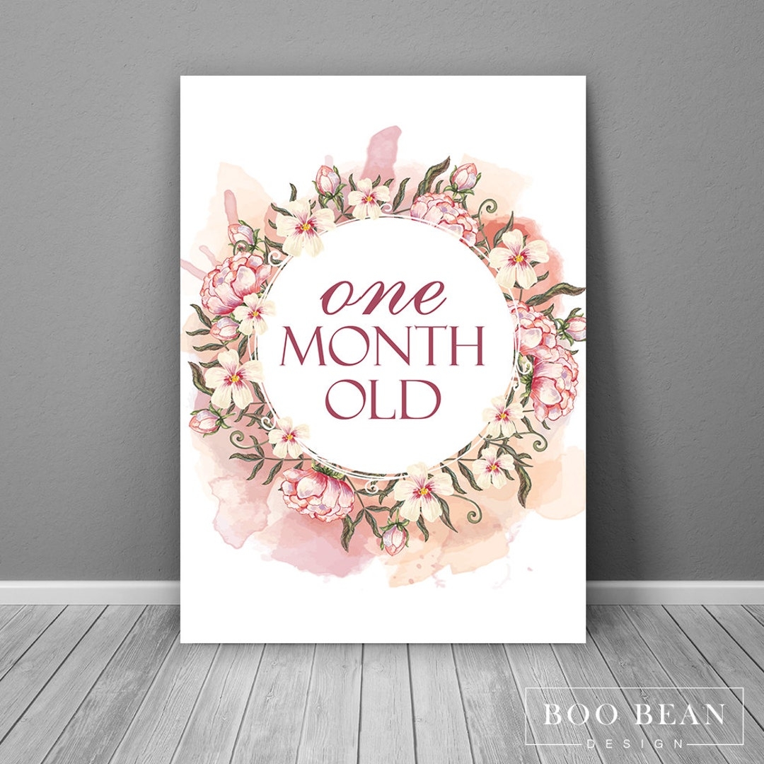 Romantic Vintage Baby Milestone Card Instant Download Printable Card Milestone Photo Prop Baby Age Sign Month Prop Month Sign Etsy