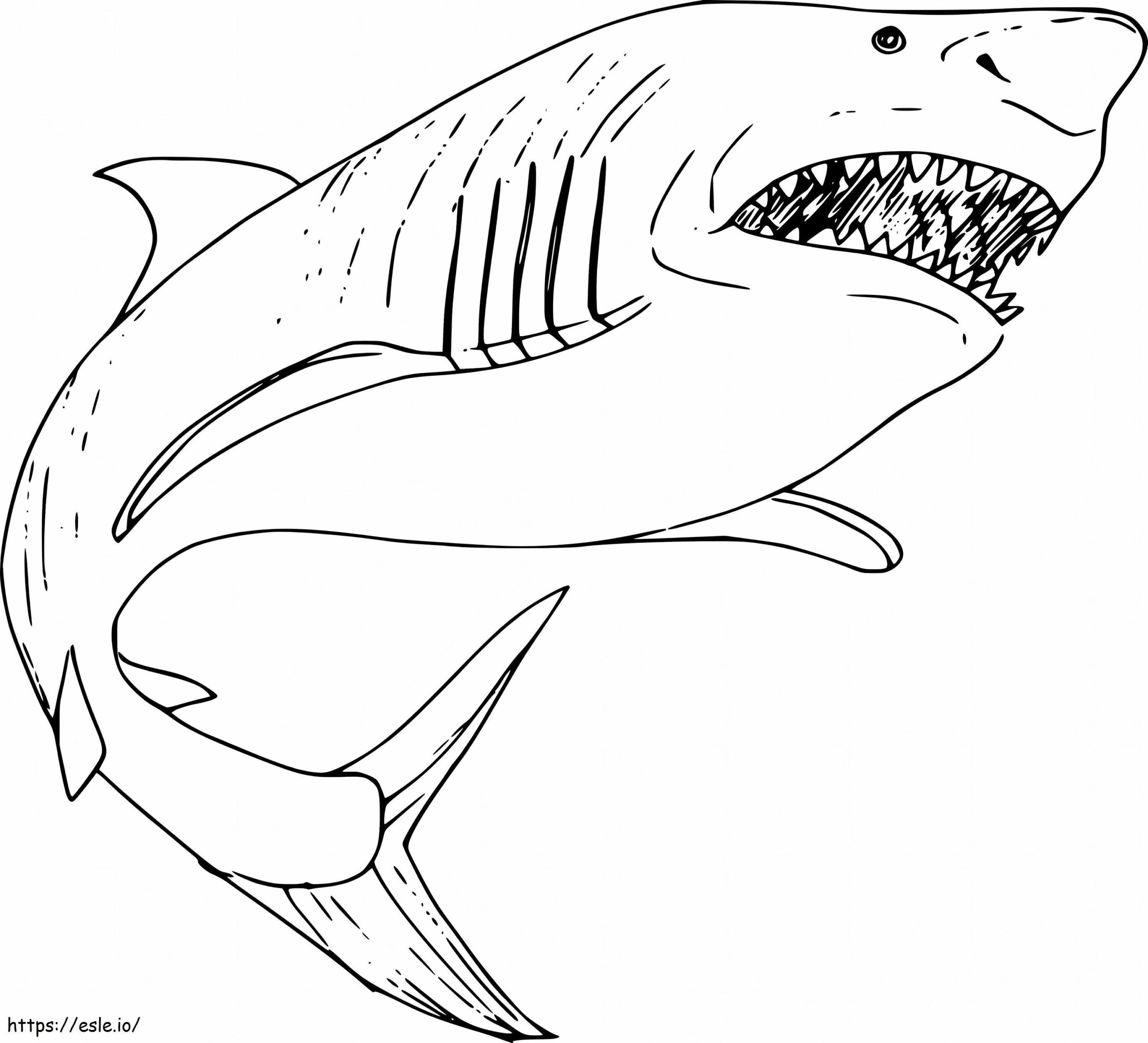 Printables To Color Megladon