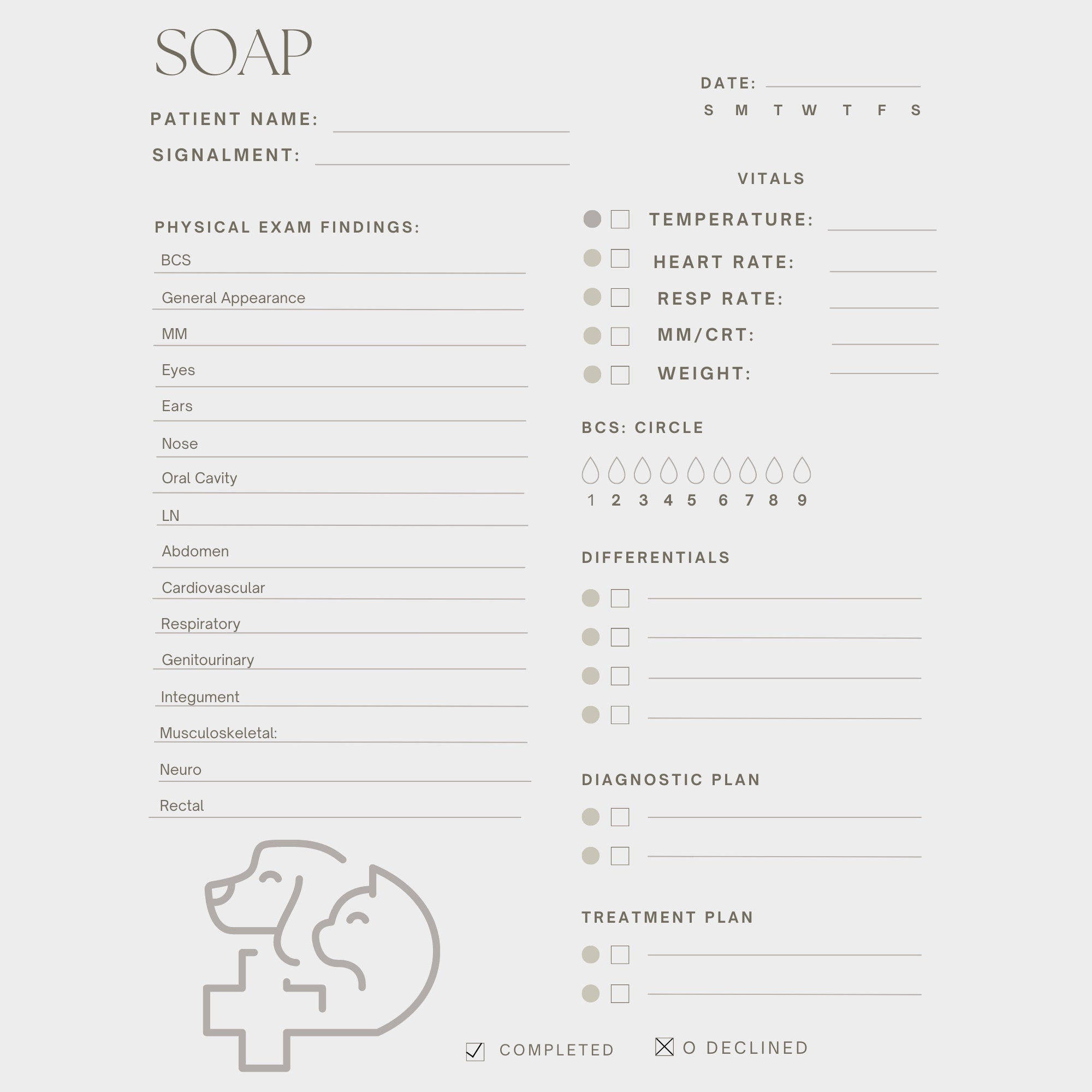 Veterinary SOAP Template Easy Download Vetmed Record Template Veterinarian Record Digital Template Digital PNG Etsy