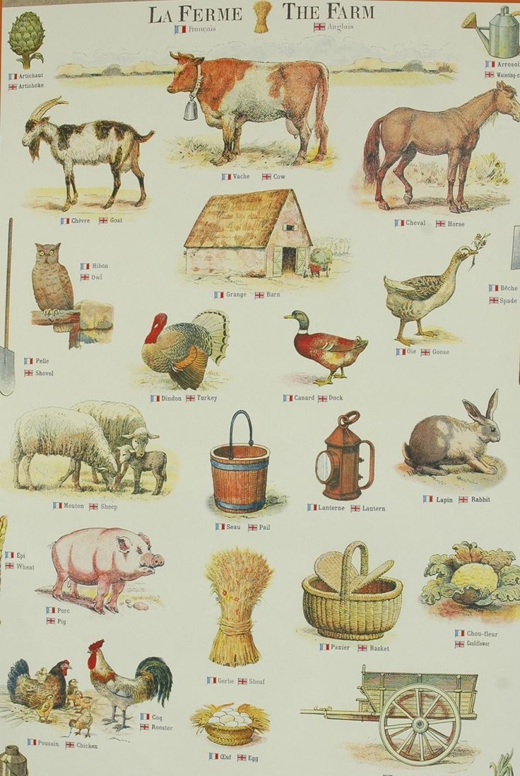 Vintage Farm Animals Poster